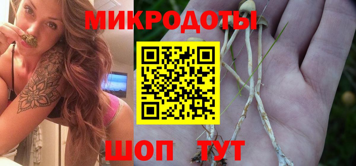 Первоуральск  Галлюциногенные грибы мицелий  Вход с VPN 